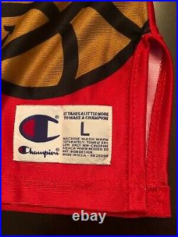 Atlanta Hawks Game Issued Warmup Shirt sz L Jersey Pro Cut Champion Vintage team