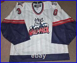 Cedric Desjardins Hartford Wolfpack 2015 Anti Bullying Game Issued Goalie Jersey