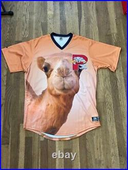 Mauricio Dubon Game Issued Portland Sea Dogs Camel Hump Day Specialty Jersey