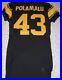 Pittsburgh-Steelers-Team-Issued-Troy-Polamalu-Jersey-2008-Throwback-Jersey-46-01-tjdl