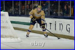 Reebook Notre Dame team issued jersey. Game used