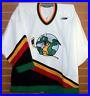 San-Antonio-Dragons-IHL-Bauer-Authentic-On-Ice-Game-Issued-White-Hockey-Jersey-01-as